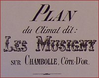 map of musigny c1890 including owners