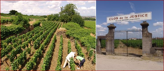(clos) Champeaux and Clos de la Justice