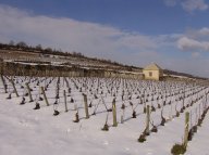 chevalier-montrachet la cabotte