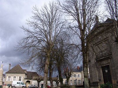 pommard in february