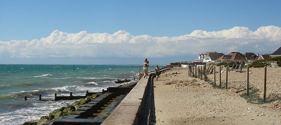 selsey bill
