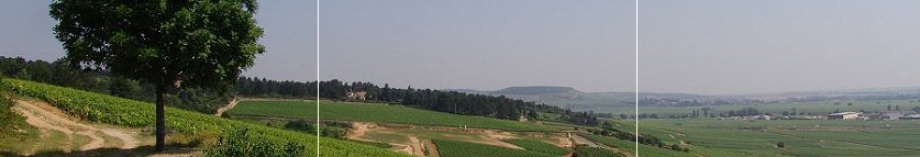 beaune - looking to corton in the distance