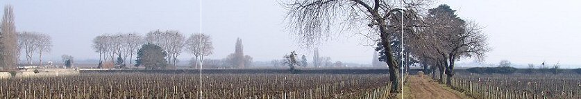 pommard