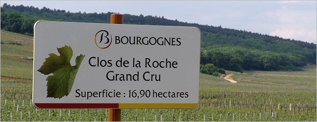 Clos de la Roche