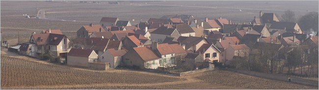 Morey St.Denis in February