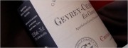 2006 camille giroud gevrey chambertin en champ