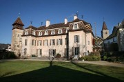 Domaine de Suremain in Monthélie