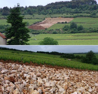 puligny folatières Peux Bois