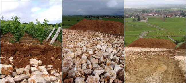 puligny folatières Peux Bois
