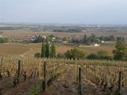 Looking down on Aloxe-Corton from Les Languettes