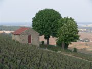 Tractor shed high on the hill at the start of Le Corton