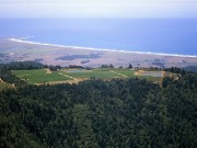 Manchester Ridge Vineyard
