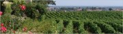 harvest 2009 update