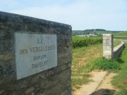 07092009 P-VergVendange Pavelot Ile des Vergelesses