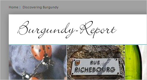 discovering burgundy