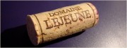 2008 lejeune bourgogne