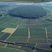 Hill of Corton