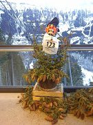 IMG-20120119-00024