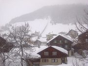 IMG-20120120-00028