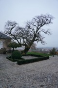 DSC00100