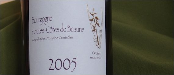 orchis-mascula-2005