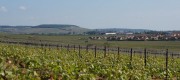 DSC00415