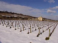 bouchards chevalier-montrachet la cabotte