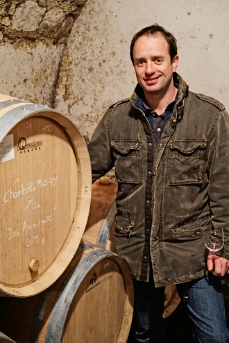 Patrice Rion – 2015 – Burgundy-Report
