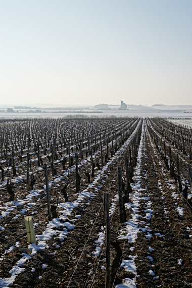 2015 Chablis Burgundy Report