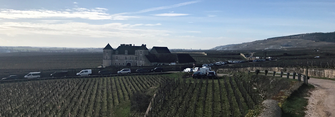 Clos de Vougeot – 2008-1989 – Burgundy-Report