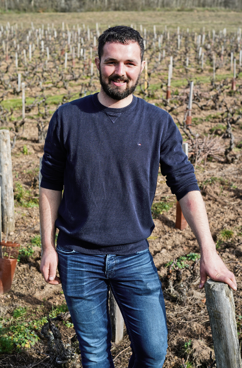 De Colette 2019 Burgundy Report