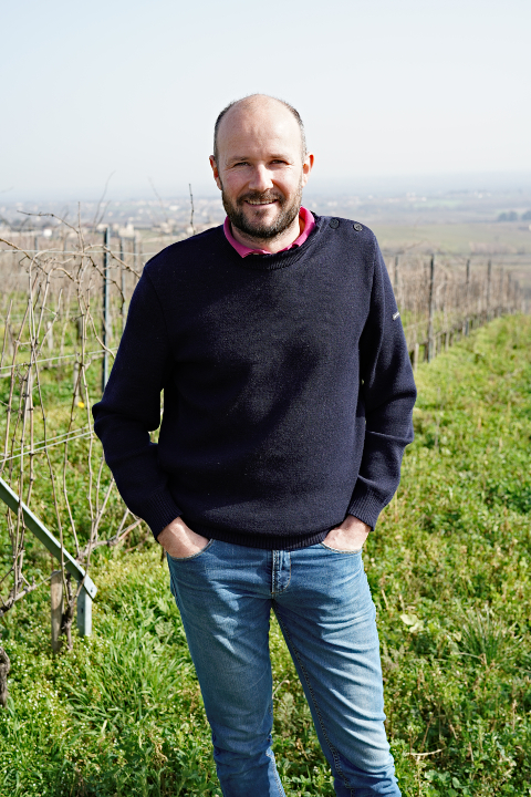 Gr goire Hoppenot 2019 Burgundy Report