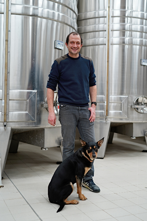 Hamelin 2021 BurgundyReport