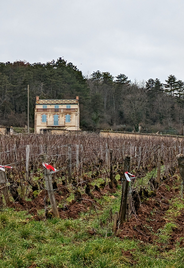 Gevrey-Chambertin Feb-2024